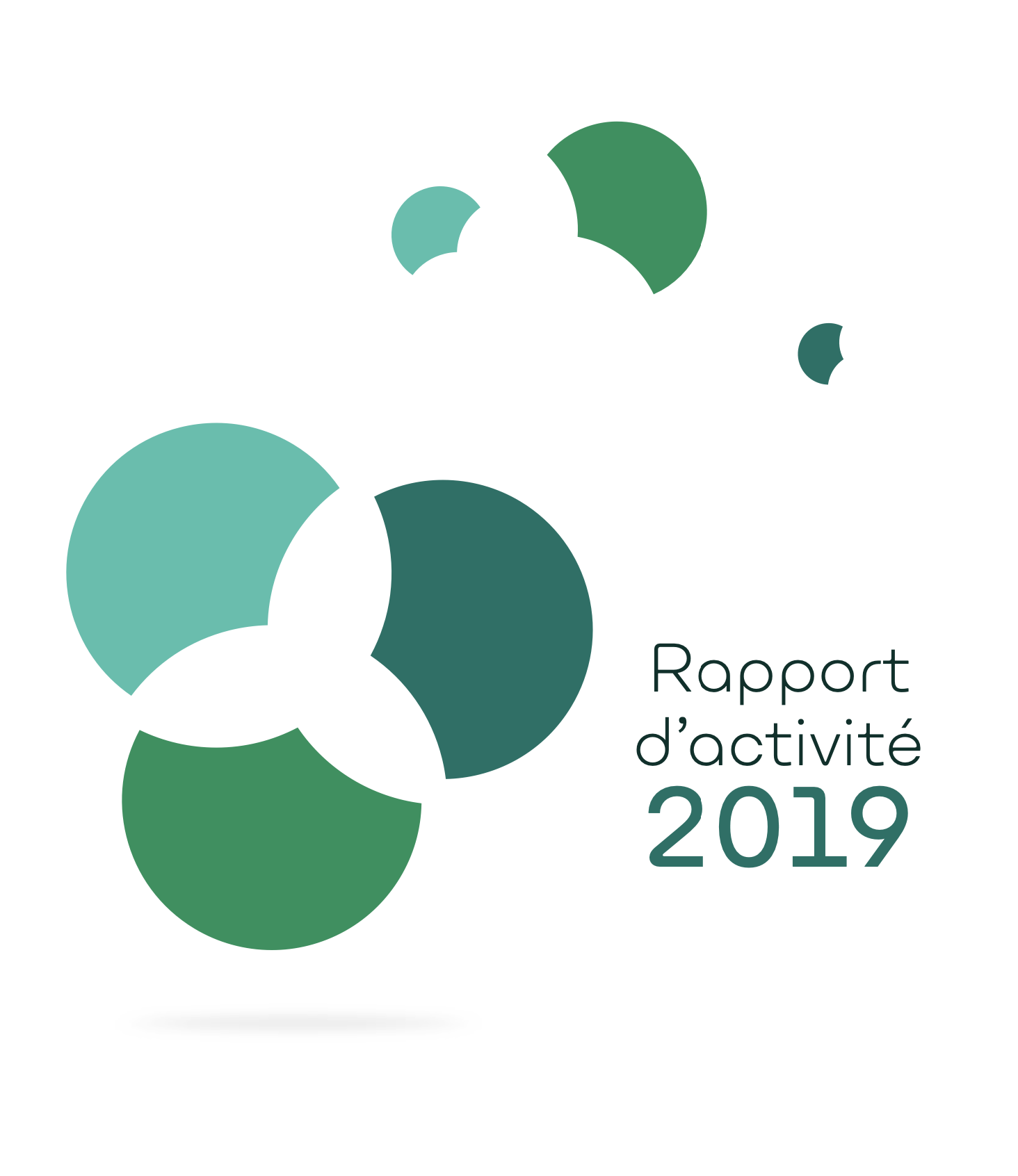 Québec Vert_Rapport annuel_2019