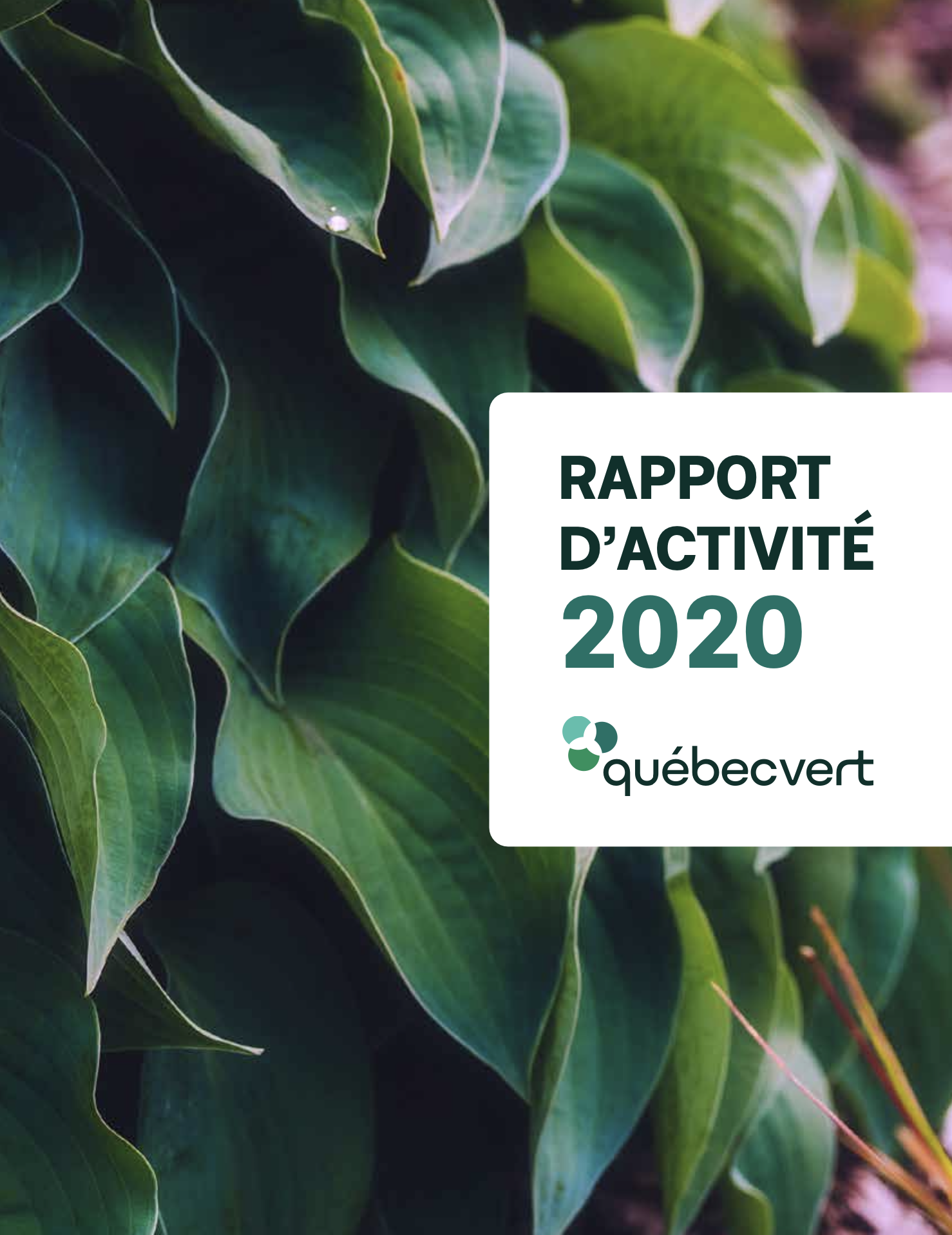Québec Vert_Rapport annuel_2020