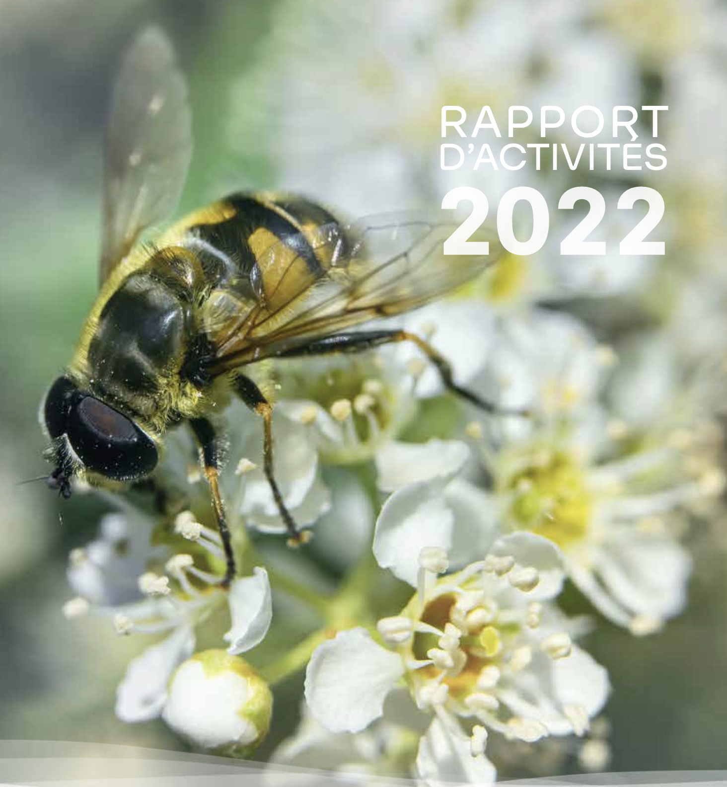 Québec Vert_Rapport annuel_2022