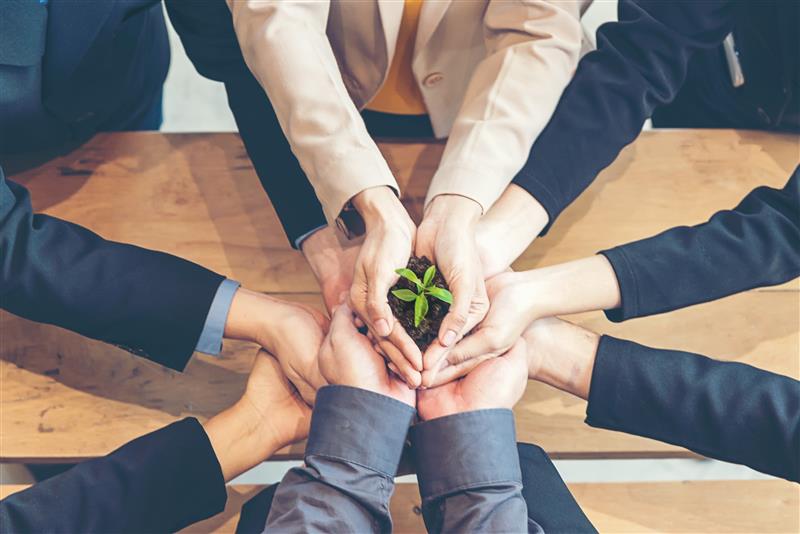 Plusieurs mains réunies tenant collectivement un jeune plant, symbolisant la concertation et la collaboration au sein du secteur horticole québécois.