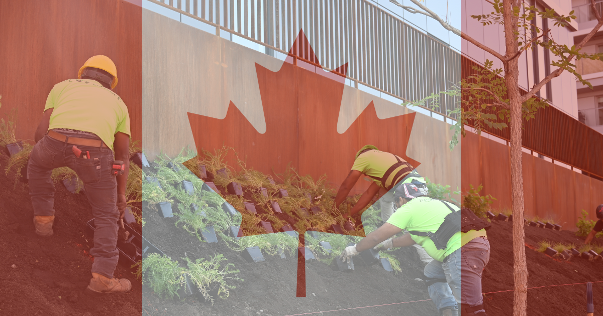 Travailleurs effectuant des travaux de plantation en aménagement paysager urbain, avec un drapeau du Canada symbolisant le cadre réglementaire fédéral.
